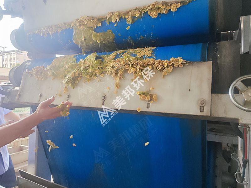 帶式壓榨機(jī)脫水后的羅漢果渣 帶式壓榨機(jī)脫水后的羅漢果渣